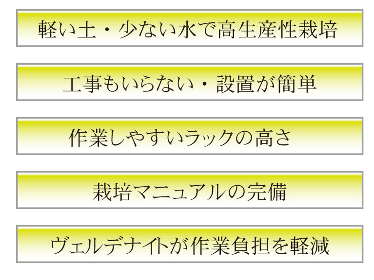 説明