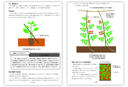 計画書